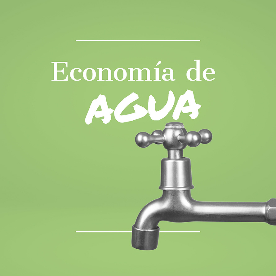 Economía de agua