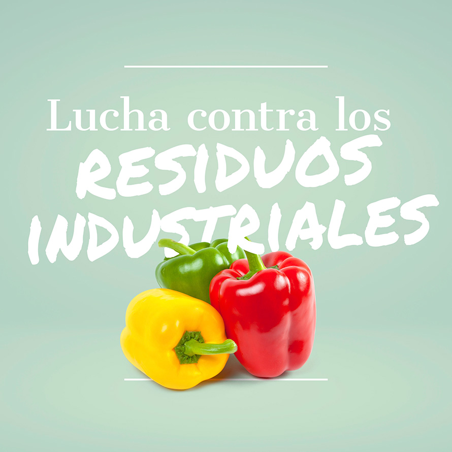 Lucha contra los residuos industriales