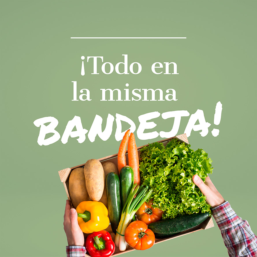 Diversidad