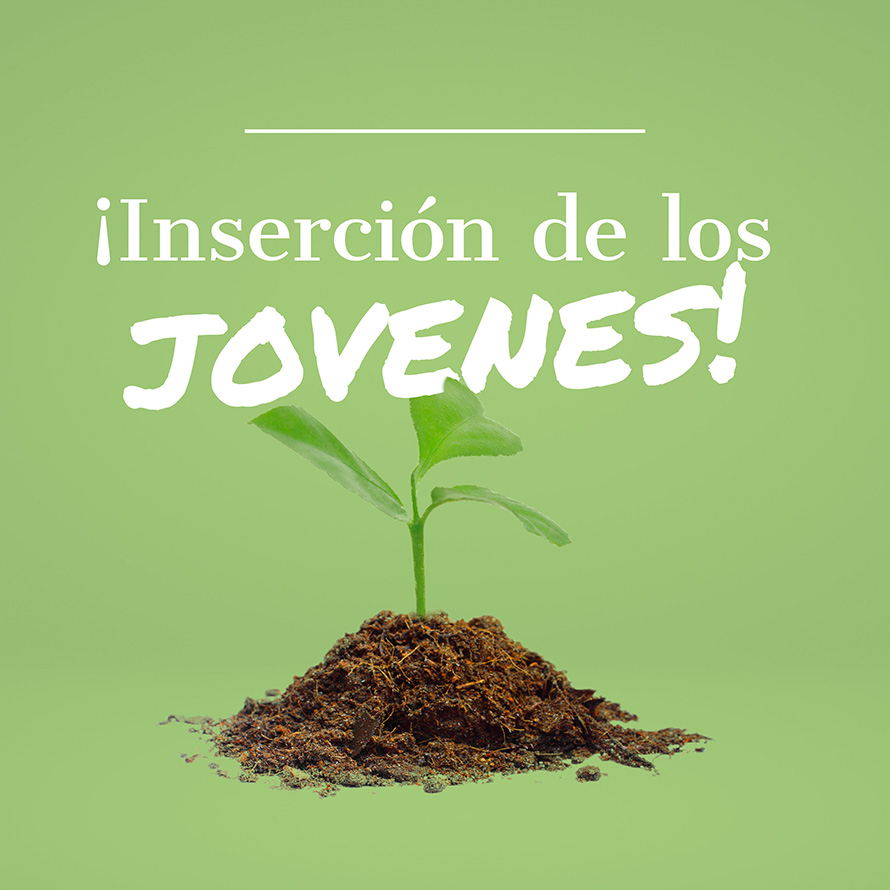 Inserción de los jovenes