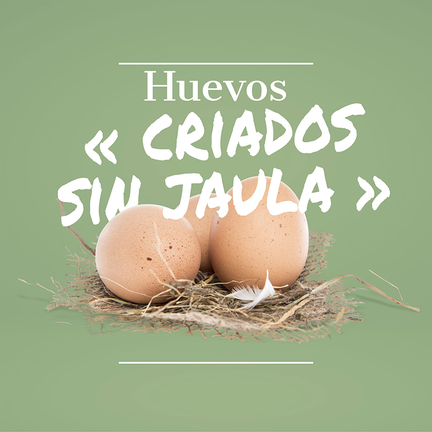 Huevos "criados sin jaula"